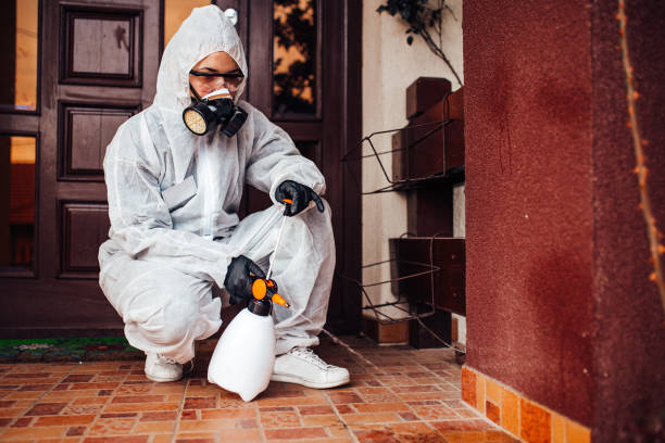 Reliable Ant Control contractor in Azle, TX by Show Me Pest Control